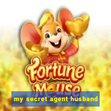 my secret agent husband