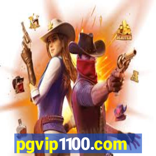 pgvip1100.com