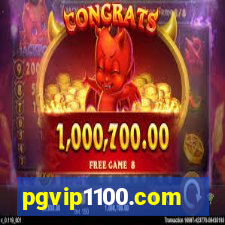 pgvip1100.com