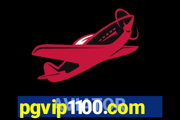 pgvip1100.com