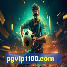 pgvip1100.com