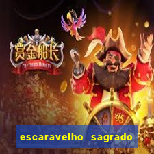 escaravelho sagrado e perigoso