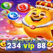 234 vip 88