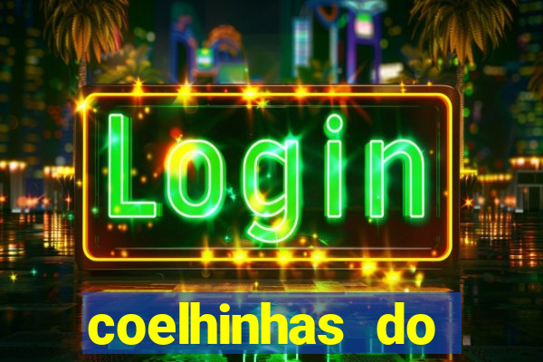 coelhinhas do brasil recife