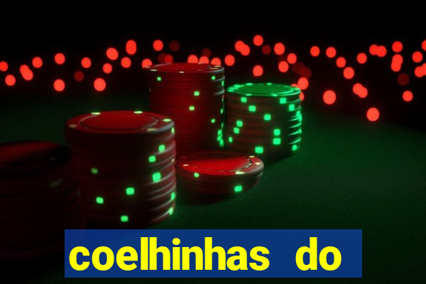 coelhinhas do brasil recife