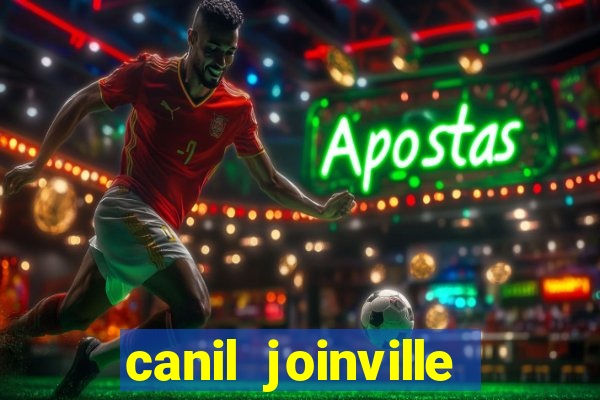 canil joinville vila nova