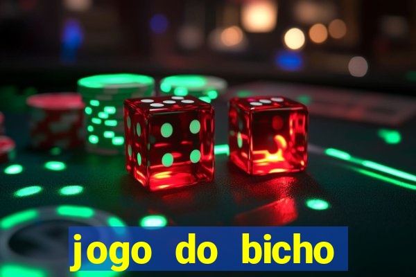 jogo do bicho crash bingo