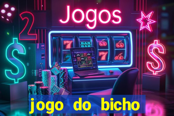 jogo do bicho crash bingo