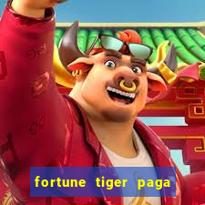 fortune tiger paga de madrugada