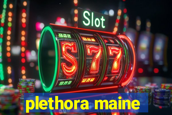 plethora maine