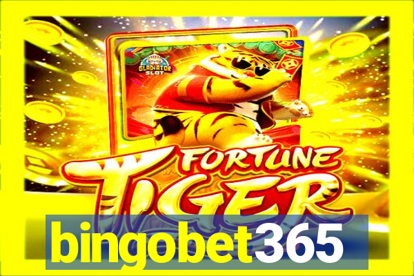 bingobet365