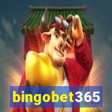 bingobet365