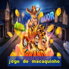 jogo do macaquinho que ganha dinheiro