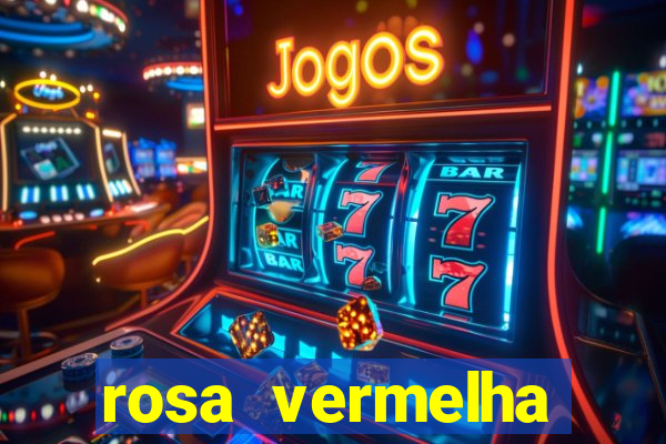 rosa vermelha (letra e cifra)