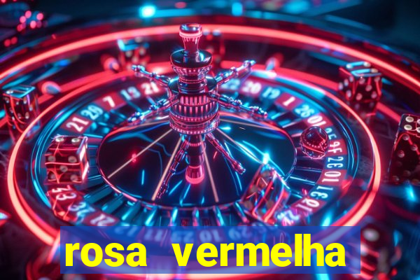 rosa vermelha (letra e cifra)