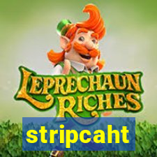 stripcaht