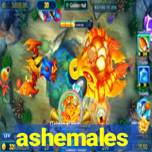 ashemales