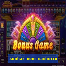 sonhar com cachorro cruzando jogo do bicho