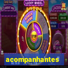 acompanhantes chamada de video