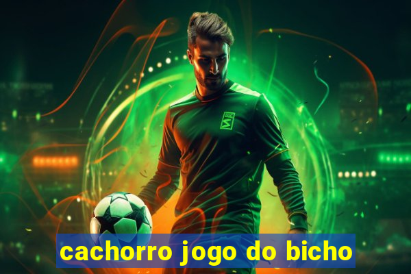 cachorro jogo do bicho