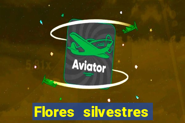 Flores silvestres brasileiras 25