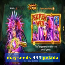 mayseeds 444 pelada