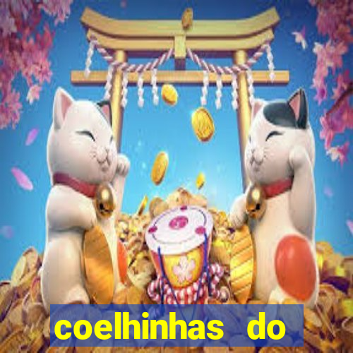 coelhinhas do brasil site