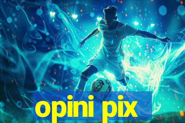 opini pix