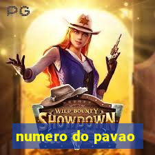 numero do pavao