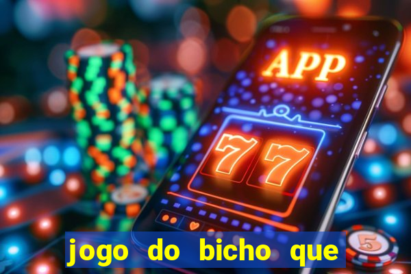 jogo do bicho que paga no pix