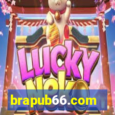 brapub66.com