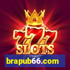 brapub66.com