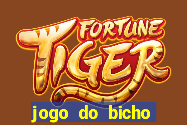 jogo do bicho feira de santana