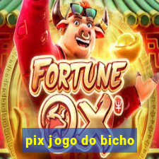 pix jogo do bicho