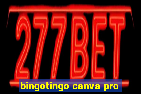 bingotingo canva pro