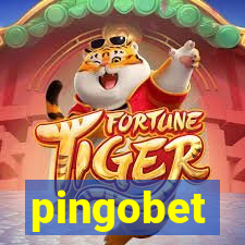 pingobet