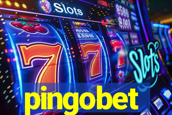 pingobet