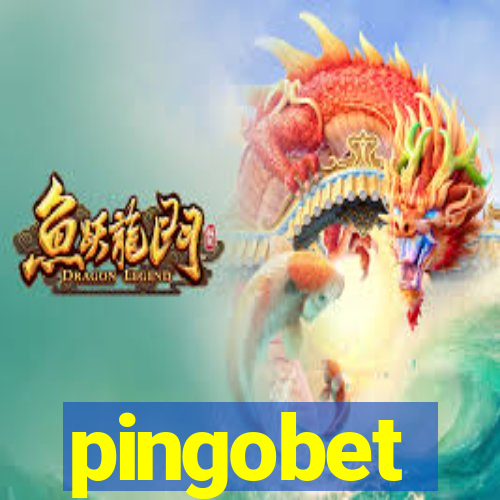 pingobet