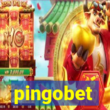 pingobet