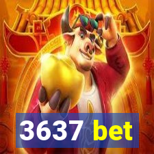 3637 bet