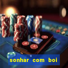 sonhar com boi branco jogo do bicho