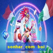 sonhar com boi branco jogo do bicho