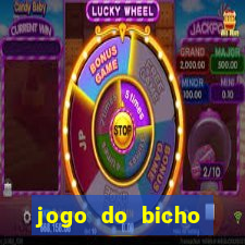 jogo do bicho tipos de apostas