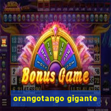 orangotango gigante