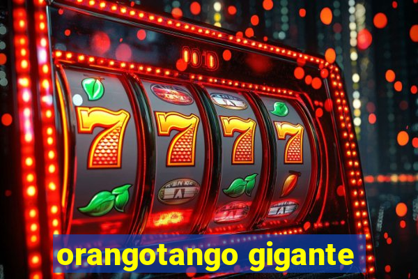 orangotango gigante