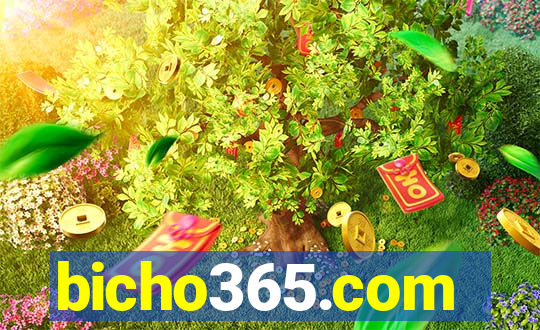 bicho365.com