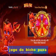 jogo do bicho puxa de dona maria