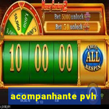 acompanhante pvh