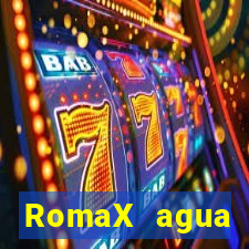 RomaX agua sanitaria fispq agua sanitaria romax