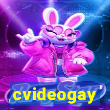 cvideogay